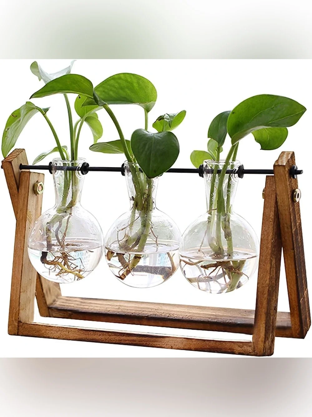 Office Decor Home Glass Hanging Propagation Stations with Green Plant